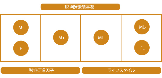 DNA検査６パターン2