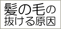 髪の毛の抜ける原因