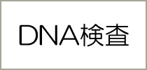 DNA検査