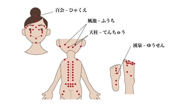 つぼ